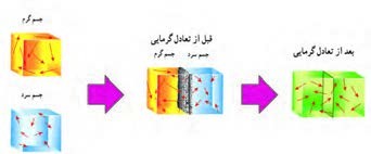 جواب فکر کنید صفحه 85 علوم هفتم