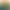 گذشت چیست؟