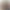 نهضت ملی شدن صنعت نفت