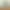 جملهٔ پرسشی چیست؟