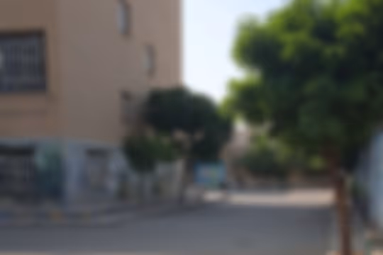 زنده یاد الویری