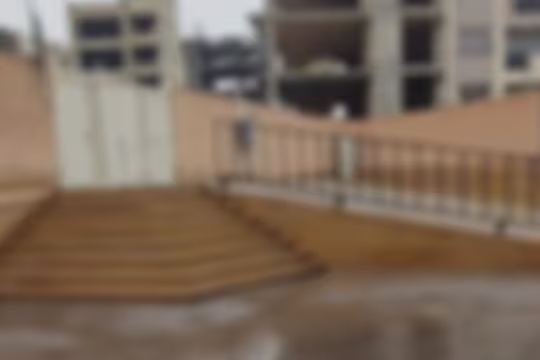 مرادیان نژاد 2