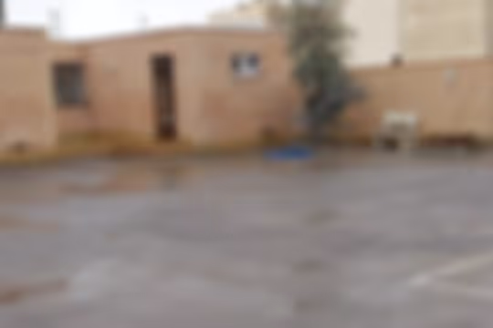 مرادیان نژاد 2