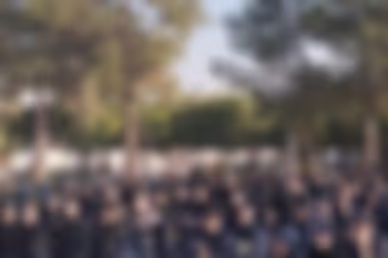 فاطمیه