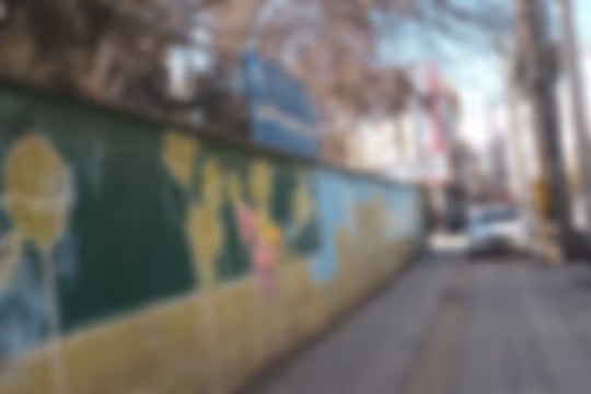 شهید انصاری