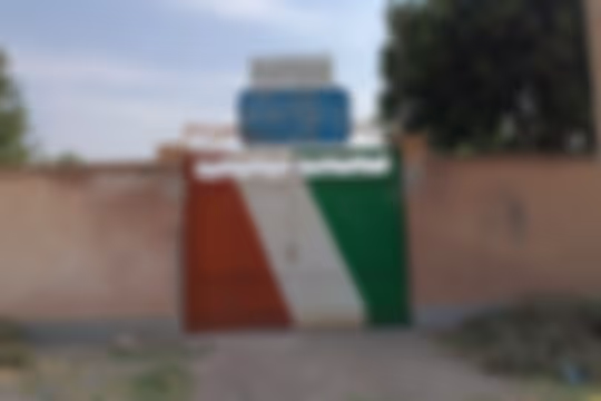 نور تلوری