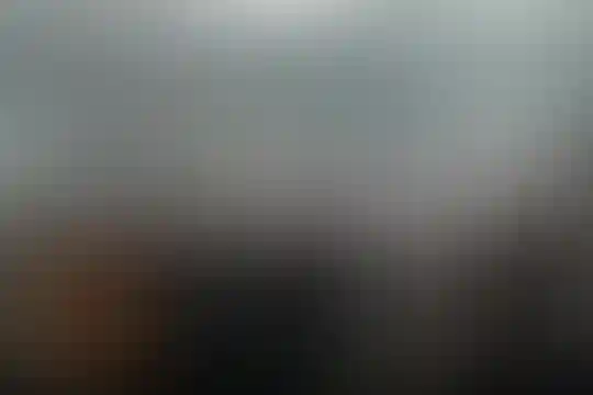 امام حسن مجتبی