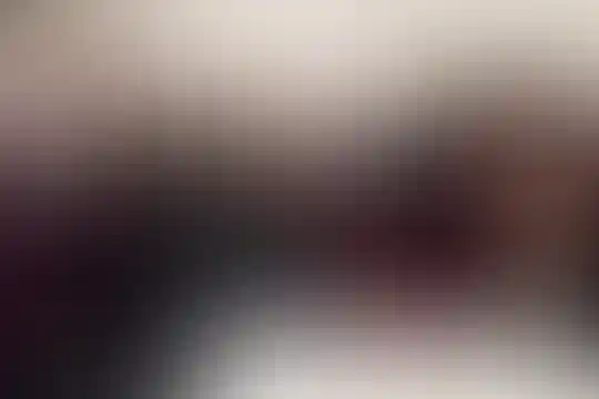 شهید مدنی