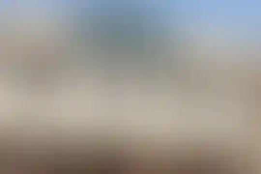 زنده یاد علی فضیلی