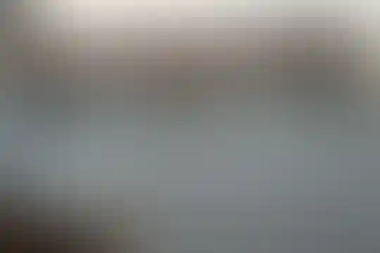 آیت الله بروجردی