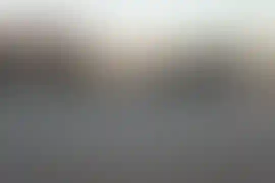 آیت الله بروجردی