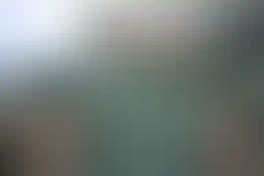 آیت الله بروجردی
