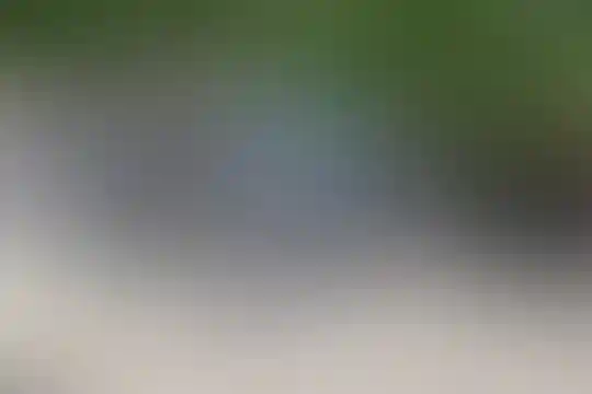 بوعلی سینا 1
