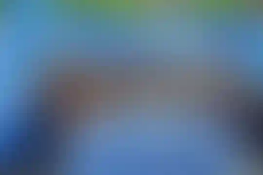 بوعلی سینا 1