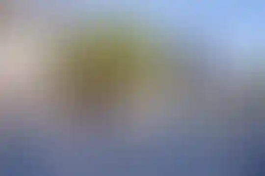 فرهنگ برادران شهید نهی قناد