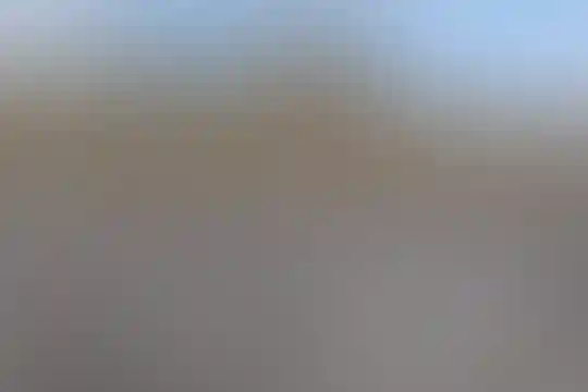 ماندگار شهید مدرس