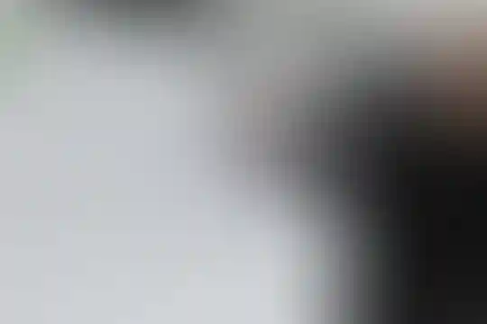 شهید طالبی