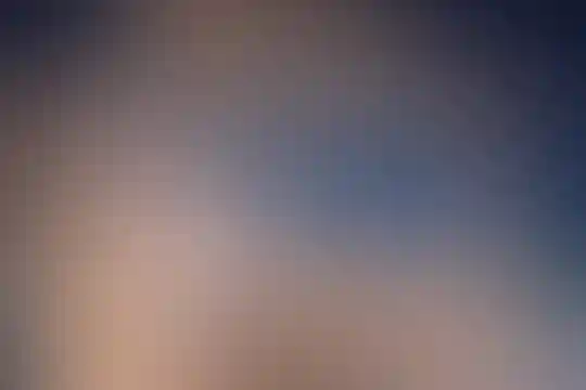 داورپناه 26