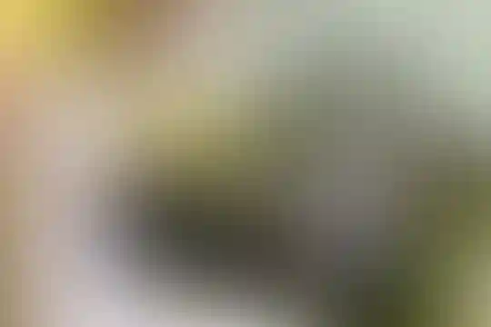 آئین روشن