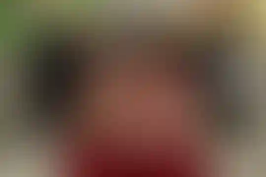 آئین روشن نور