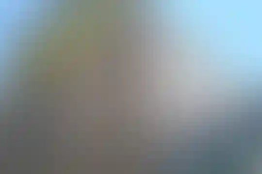 باقر العلوم