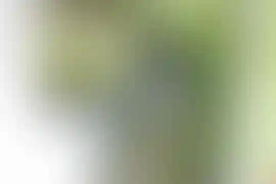 تلاش