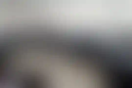 حمزه سیدالشهدا
