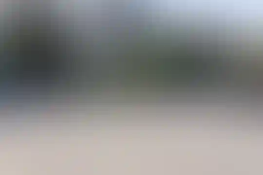 دکتر غلامحسین مصاحب