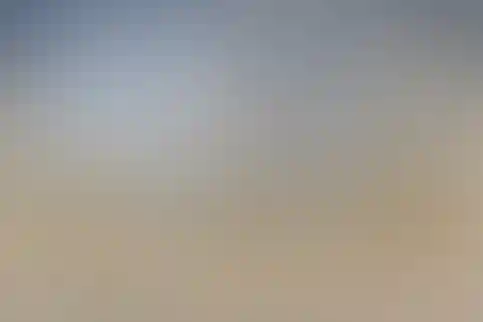 دکتر محمود افشار