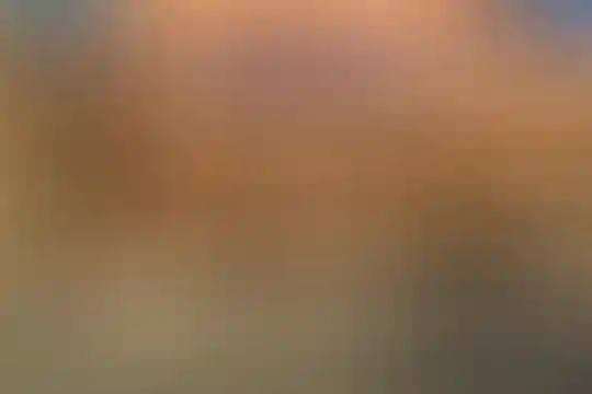 دکتر محمود افشار