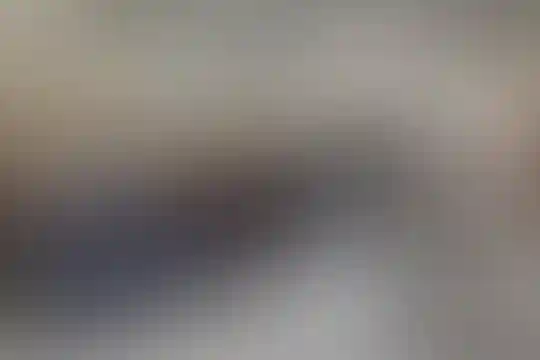دکتر محمود افشار