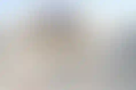 امام محمد باقر