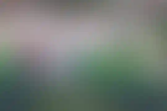 سعادت 1