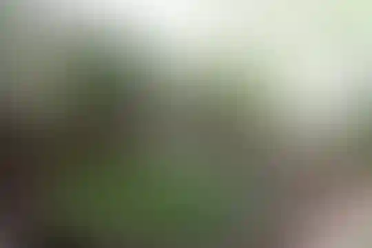 سوده