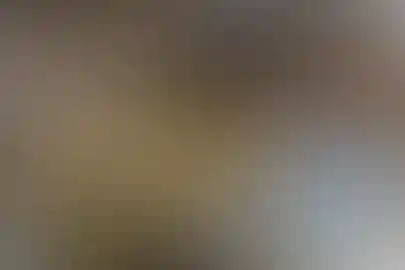 سیدالشهدا