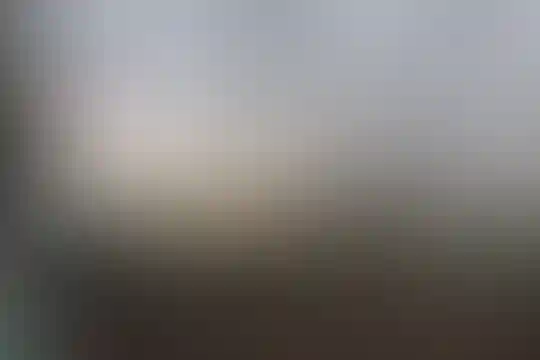 شهید رجایی