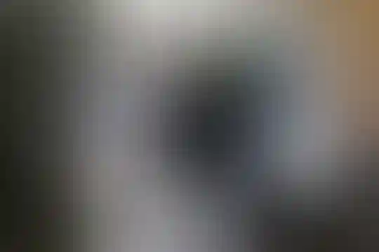 سعدی 1
