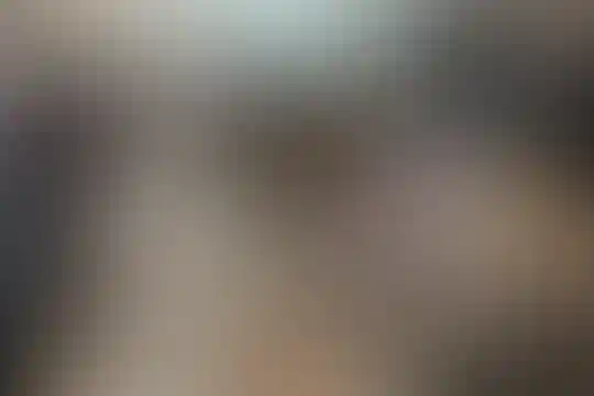 سعدی 1