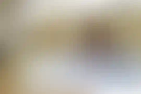 شهید مهدوی