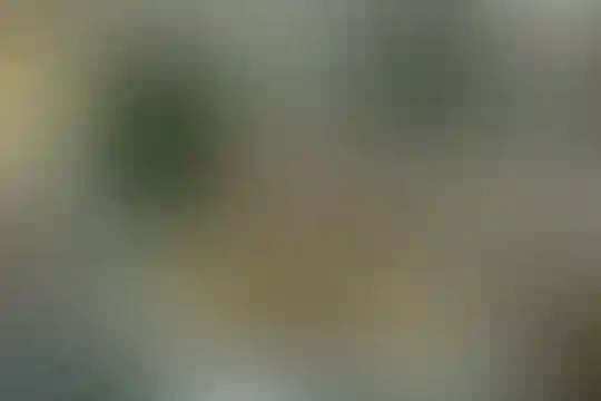شهید مهدوی
