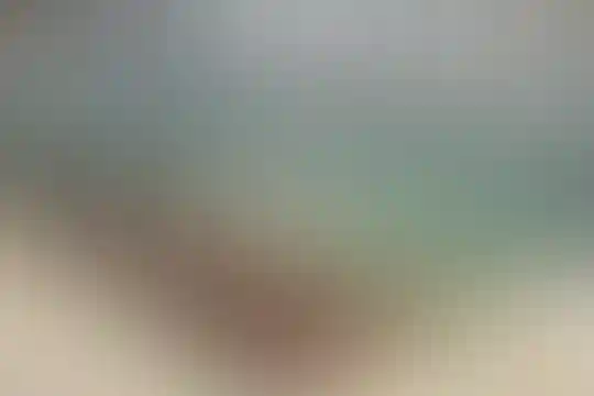 شهید مهدوی