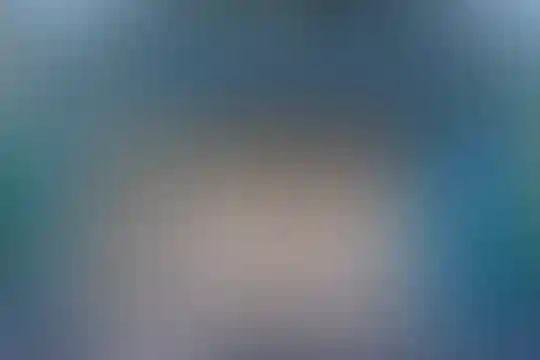 صنیعی‌فر 1