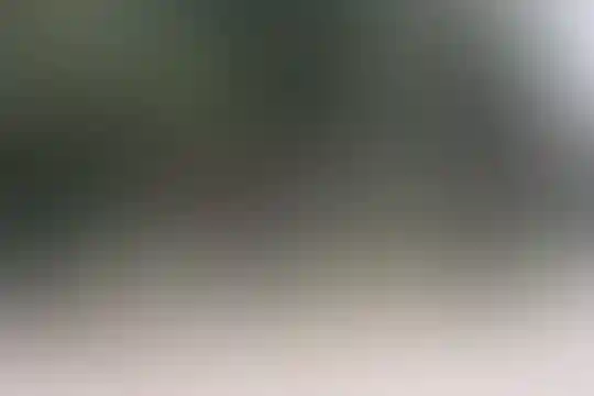صنیعی‌فر 1