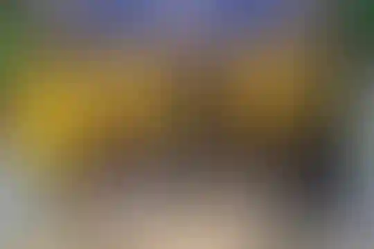 علامه حلی 6