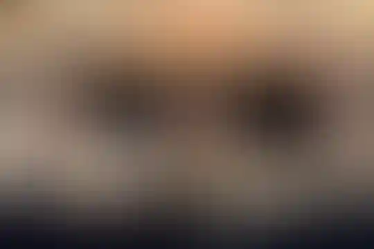 فرهنگ