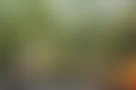 فریده سلیمی