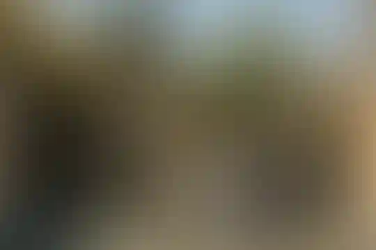 ماندگار البرز