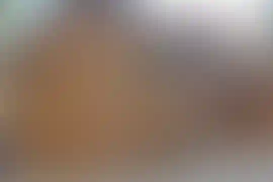 ماندگار البرز