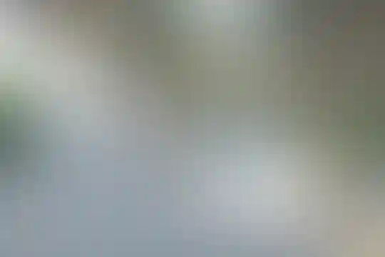 ماندگار البرز