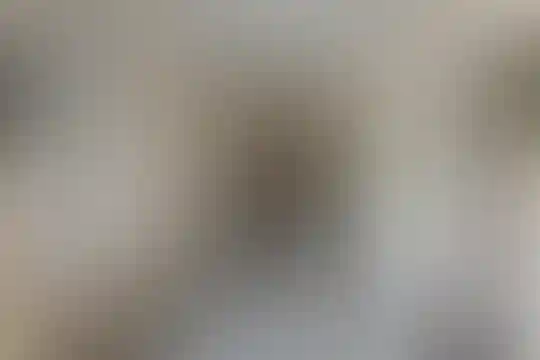 ماندگار البرز